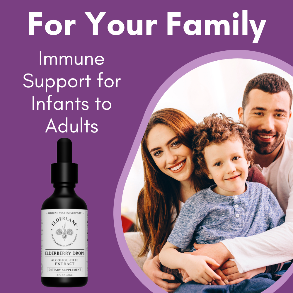 Elderberry Drops 2oz - Sugar-Free
