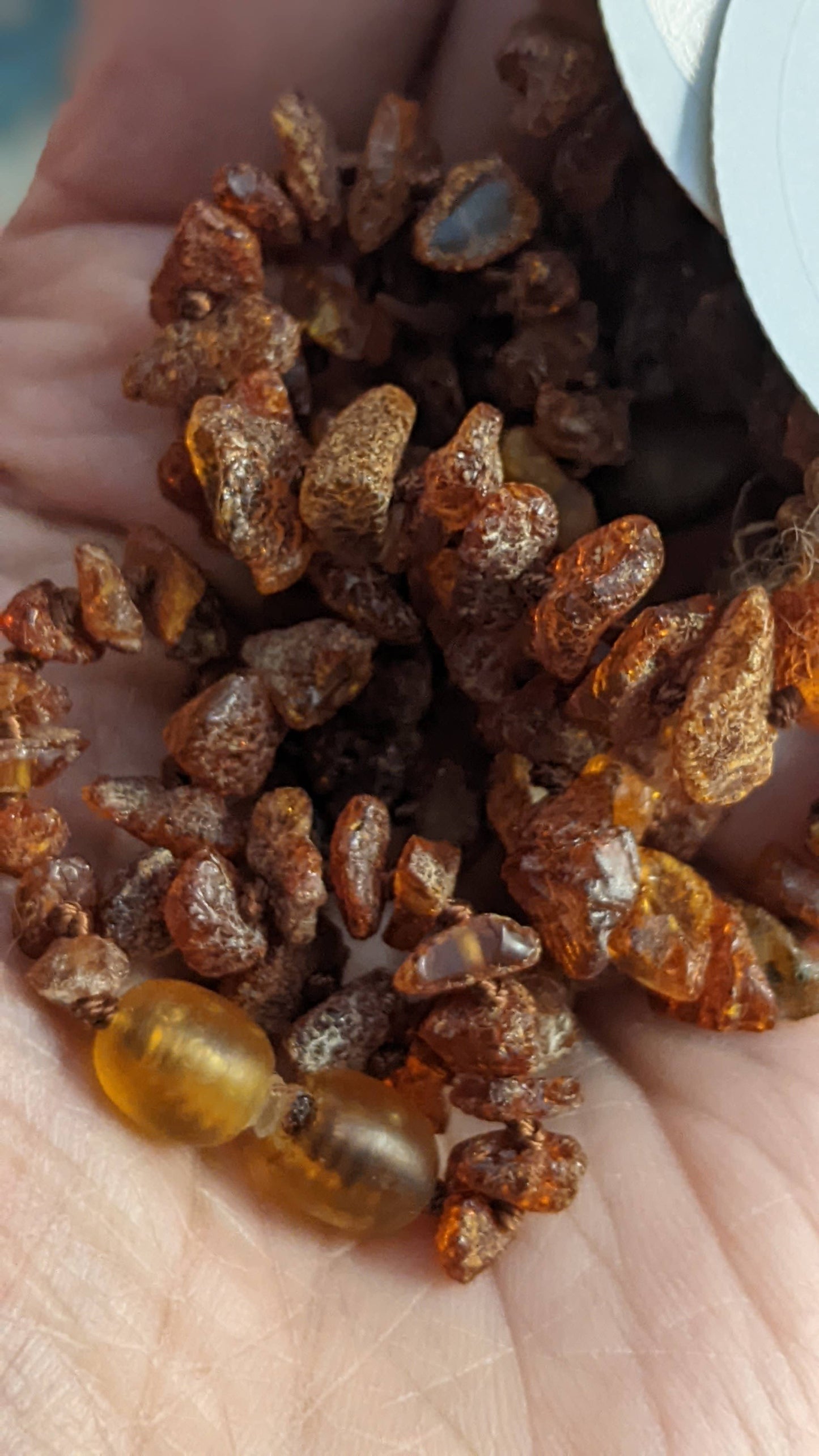 Raw genuine Baltic Amber baby necklace 12.5"
