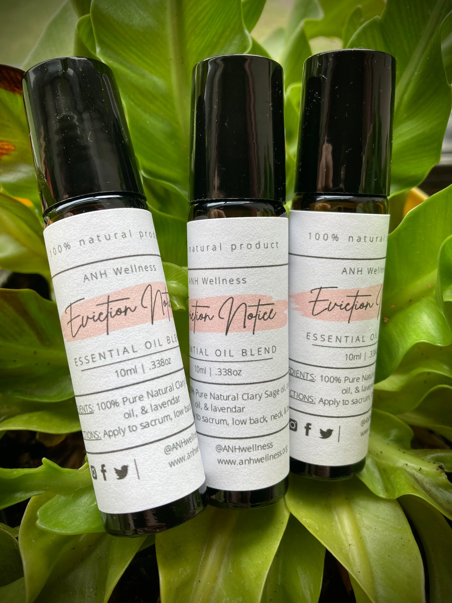 Eviction Notice Oil Roller by ANH