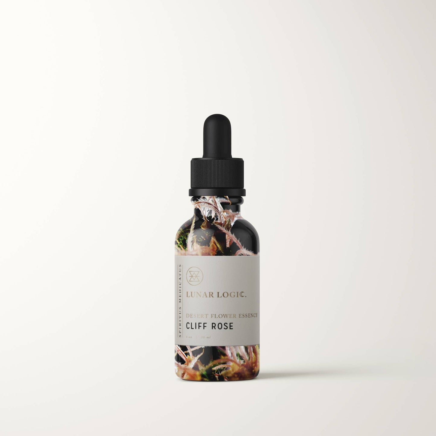 CLIFF ROSE / Desert Flower Essence For Manifestation