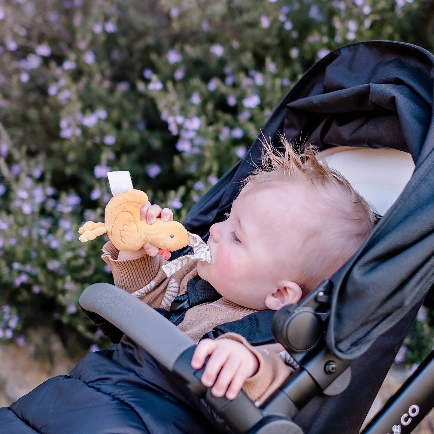 Tikiri Toys LLC - Tara the Duck Tag Along Pram Toys