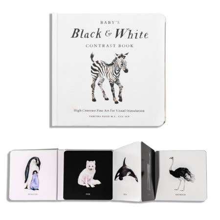 Baby's Black And White Book