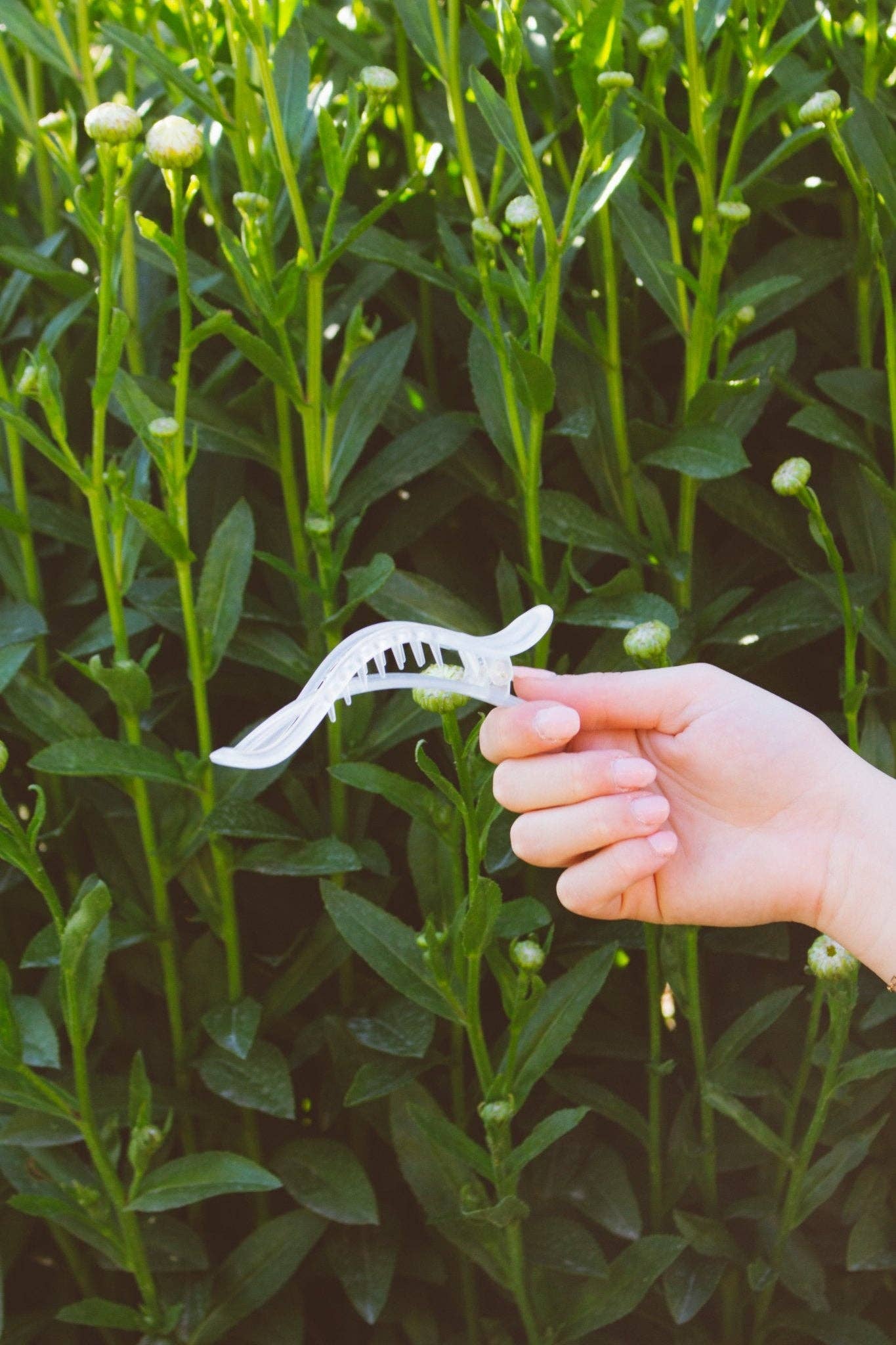 Alligator Claw Clip - Multiple Colors
