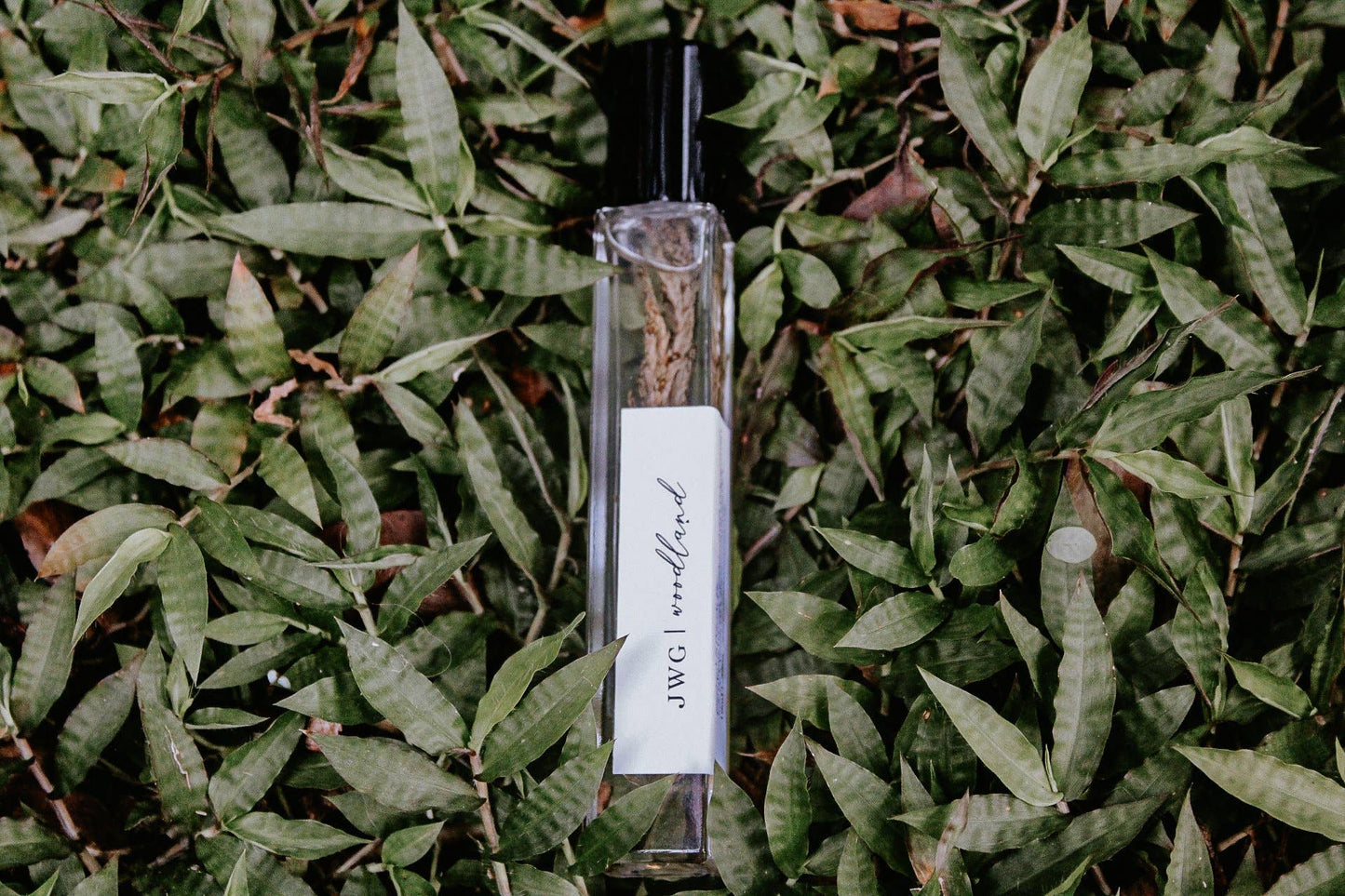 Jess Wandering Goods - Woodland Perfume Roller
