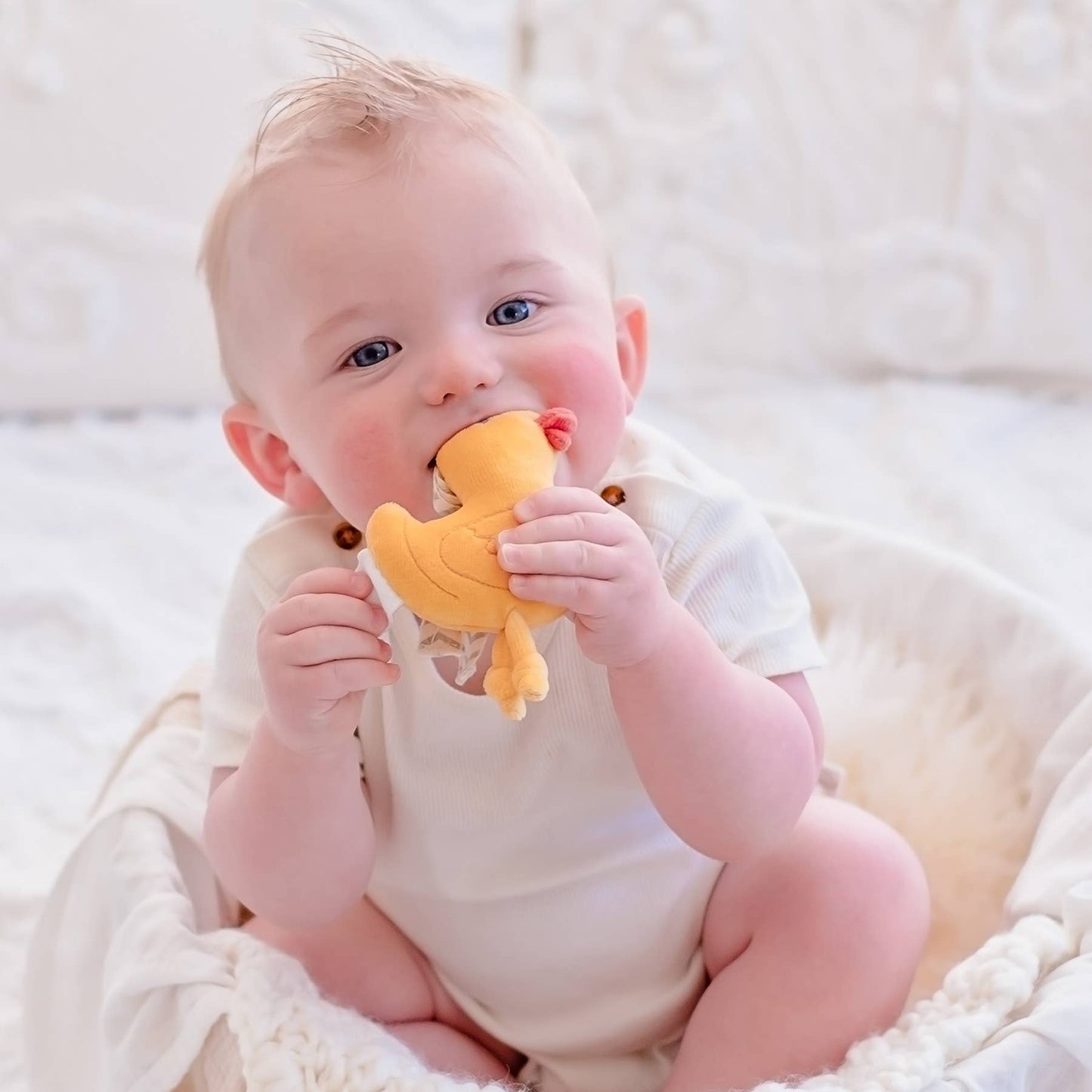 Tikiri Toys LLC - Tara the Duck Tag Along Pram Toys