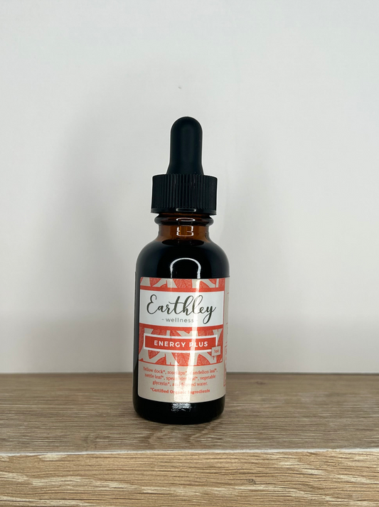 Energy Plus