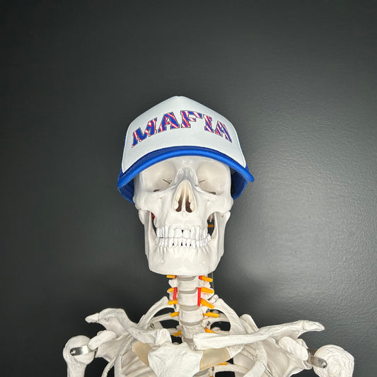 Buffalo Bills Hat
