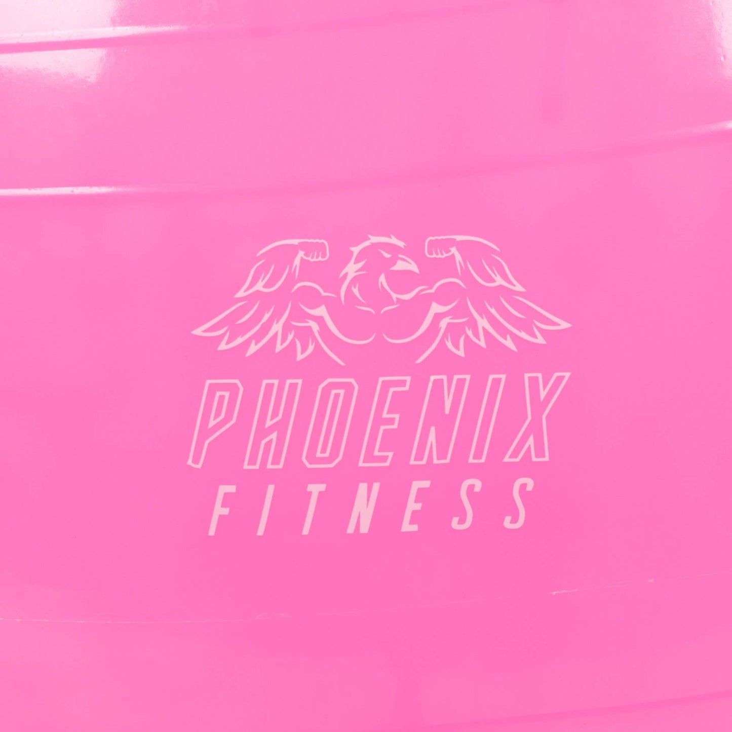 Phoenix Fitness - Fit Ball With Pump Pink