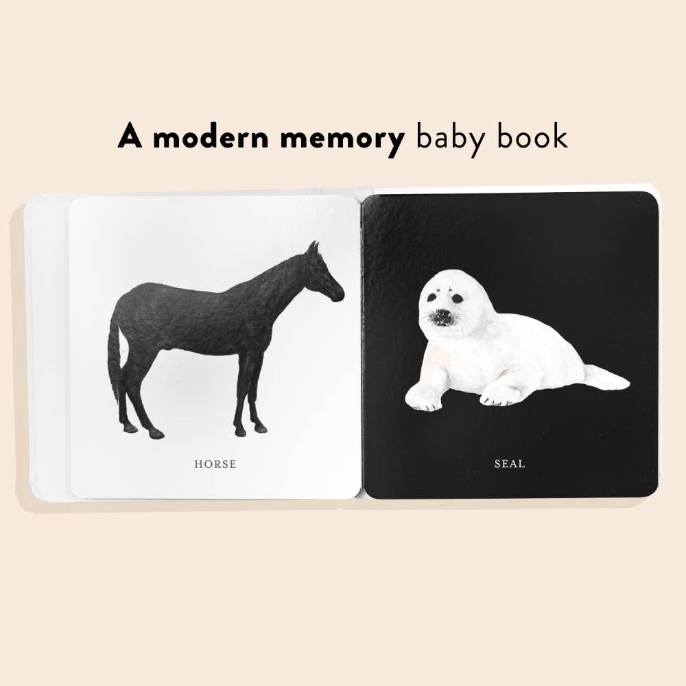 Baby's Black And White Book