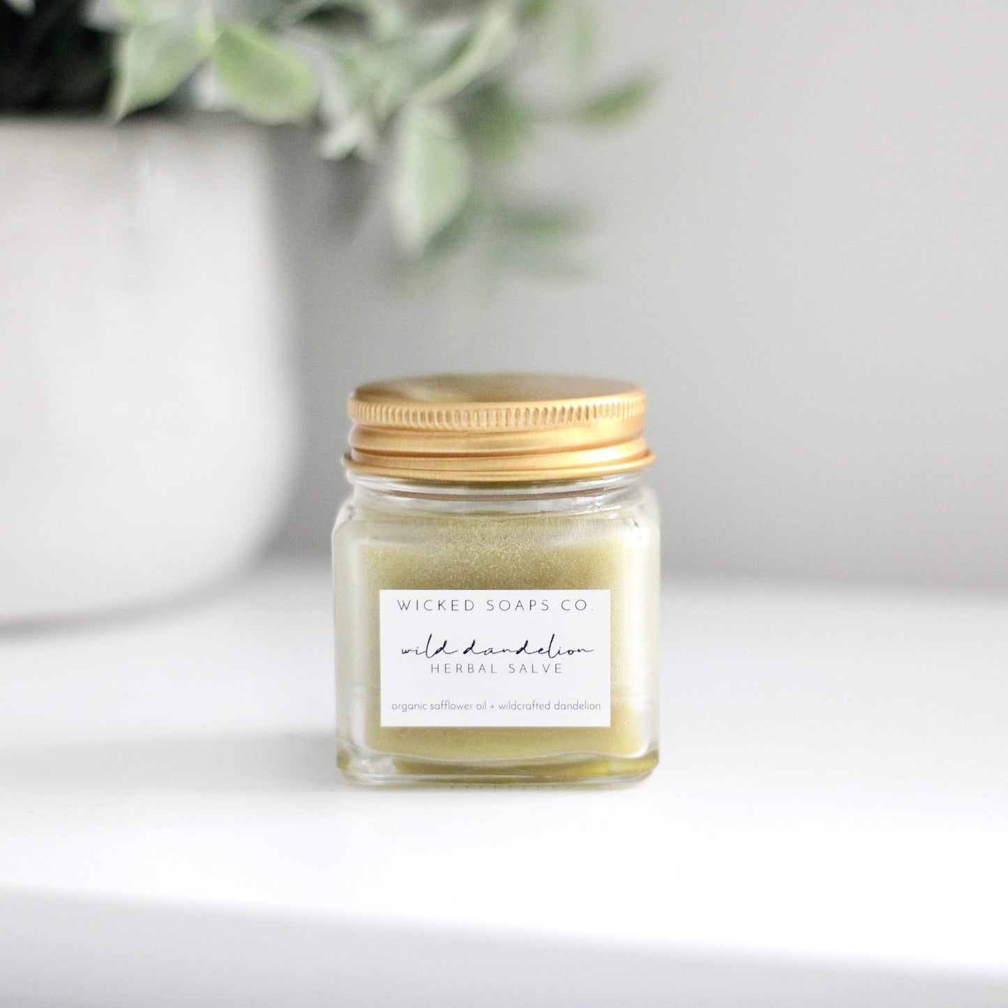 Wild Dandelion Herbal Salve